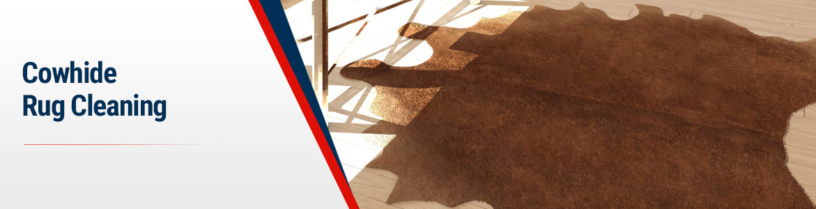 Cowhide Rug Cleaning in Your Local Area by Rug Rangers