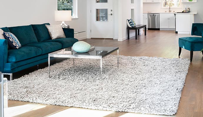 rug on floor in living area