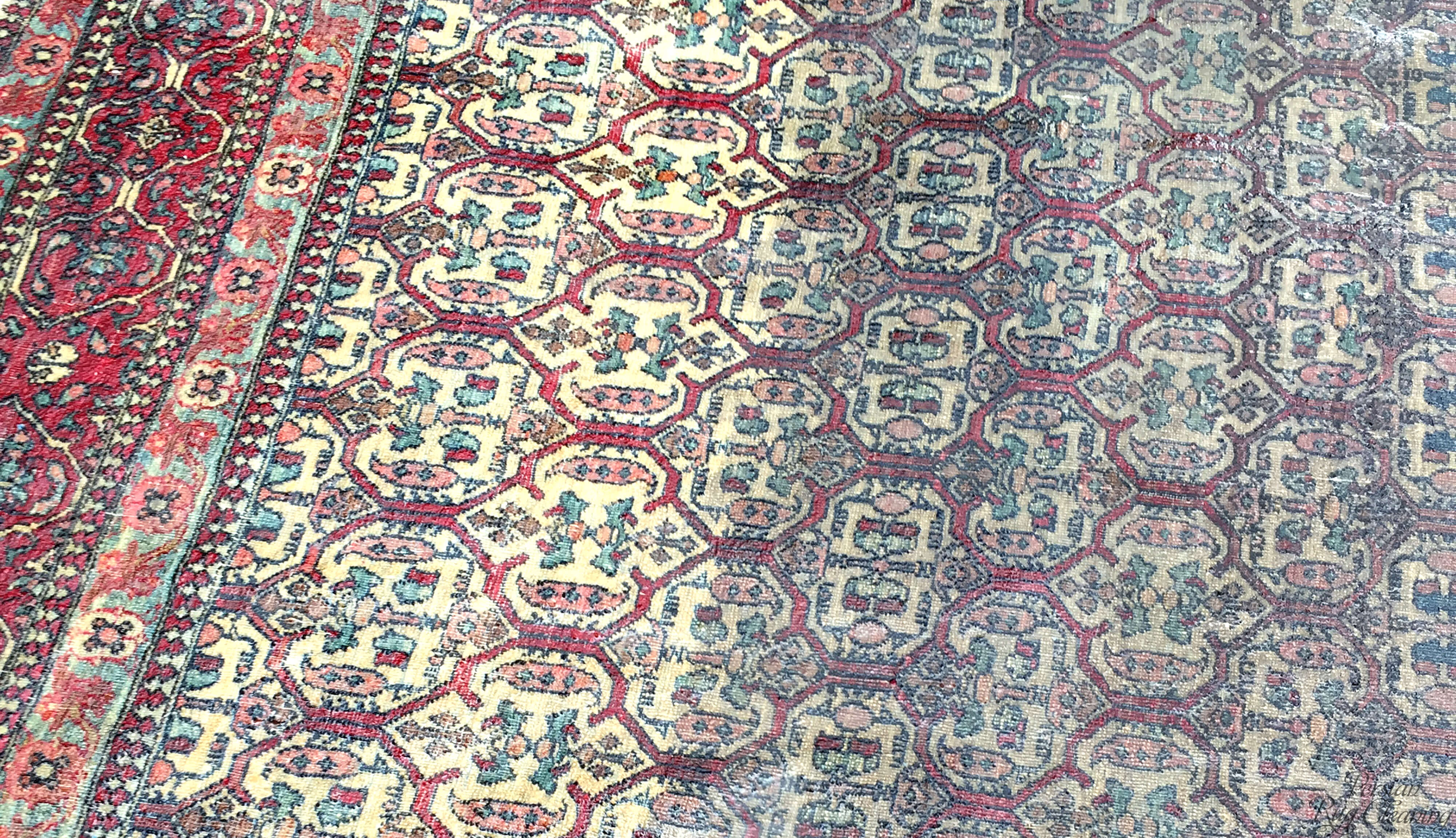Questions to Ask a Rug Cleaning Company
