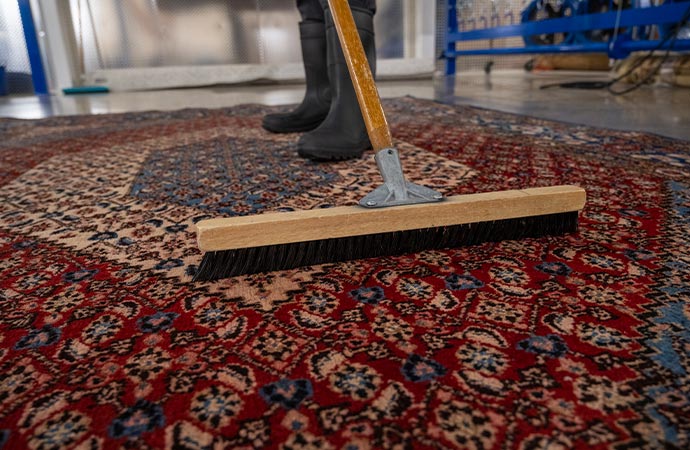 Professional worker cleaning area rug