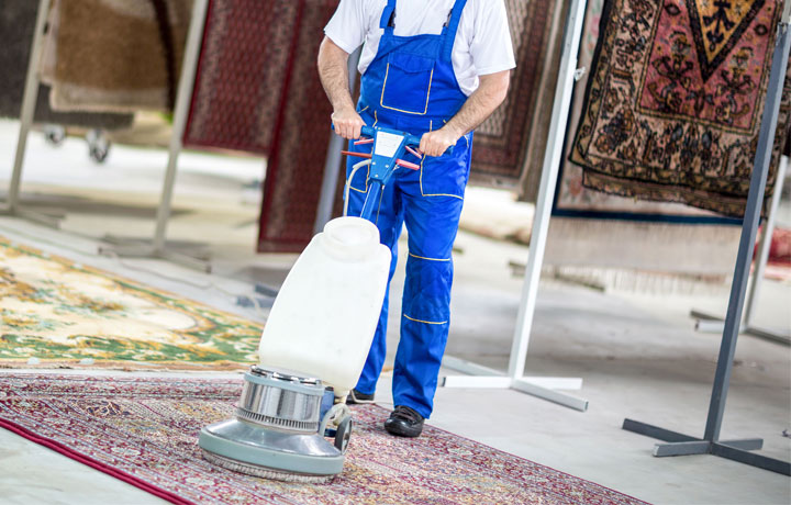 Best Area Rug Cleaning in Your Local Area