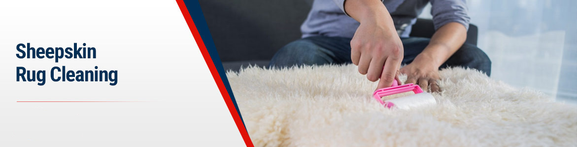 5 Methods to Clean a Sheepskin Rug