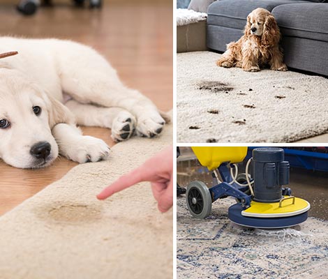 Different types of rug cleaning