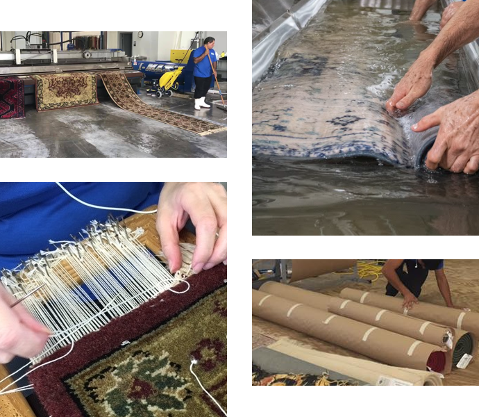 A collage of Rug Cleaning Process