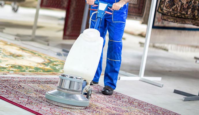 rug steam cleaning professionally