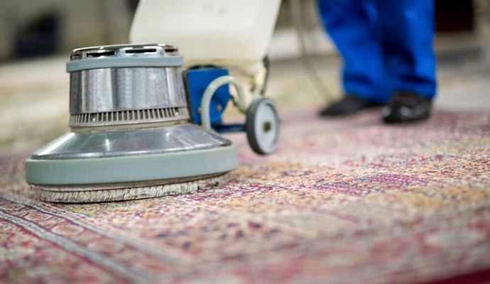 Best Area Rug Cleaning in Your Local Area