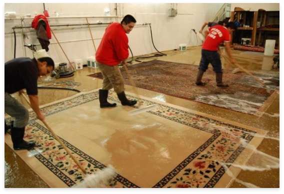 Rug Cleaners