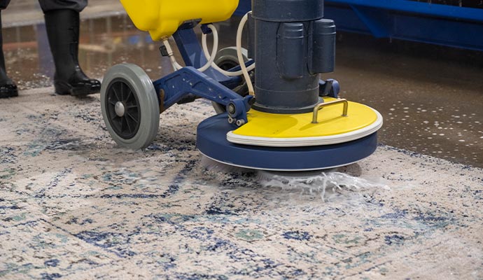 rug cleaning and vacuuming by machine