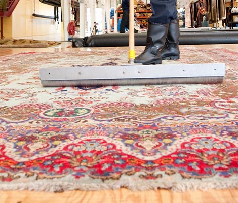 Professional rug cleanup service