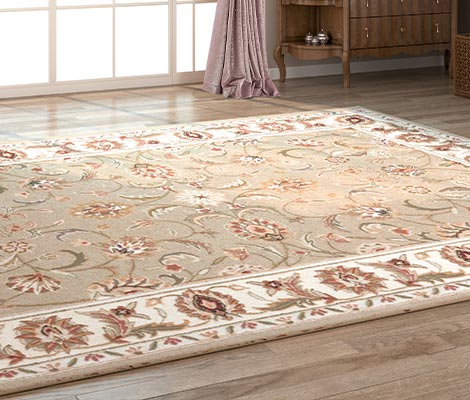Best rug cleaning service in your area